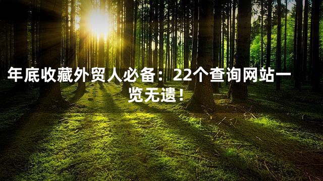 年底收藏外贸人必备：22个查询网站一览无遗！