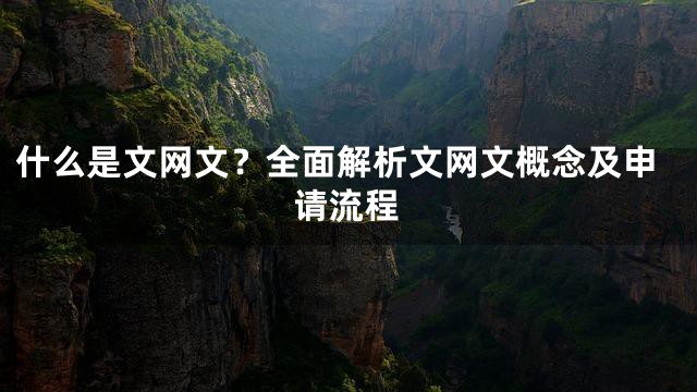 什么是文网文？全面解析文网文概念及申请流程