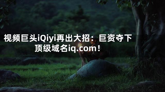 视频巨头iQiyi再出大招：巨资夺下顶级域名iq.com！