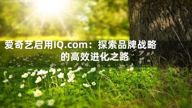 爱奇艺启用IQ.com：探索品牌战略的高效进化之路
