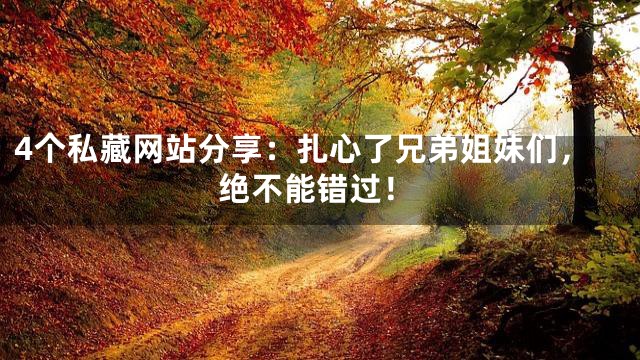 4个私藏网站分享：扎心了兄弟姐妹们，绝不能错过！