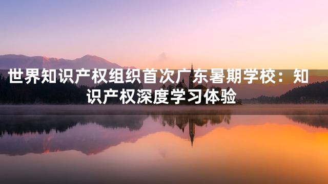 世界知识产权组织首次广东暑期学校：知识产权深度学习体验