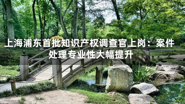 上海浦东首批知识产权调查官上岗：案件处理专业性大幅提升