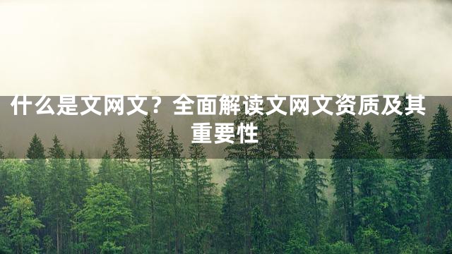 什么是文网文？全面解读文网文资质及其重要性