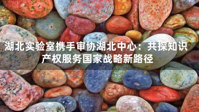 湖北实验室携手审协湖北中心：共探知识产权服务国家战略新路径