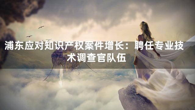 浦东应对知识产权案件增长：聘任专业技术调查官队伍