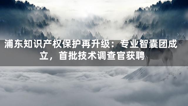 浦东知识产权保护再升级：专业智囊团成立，首批技术调查官获聘