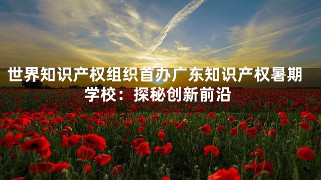 世界知识产权组织首办广东知识产权暑期学校：探秘创新前沿