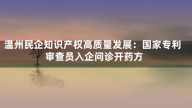 温州民企知识产权高质量发展：国家专利审查员入企问诊开药方