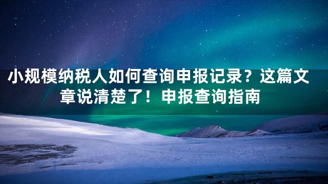 小规模纳税人如何查询申报记录？这篇文章说清楚了！申报查询指南