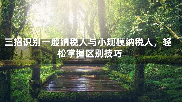 三招识别一般纳税人与小规模纳税人，轻松掌握区别技巧