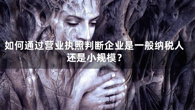 如何通过营业执照判断企业是一般纳税人还是小规模？