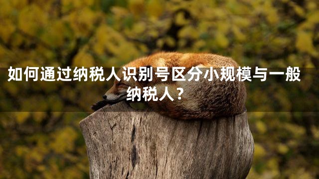 如何通过纳税人识别号区分小规模与一般纳税人？