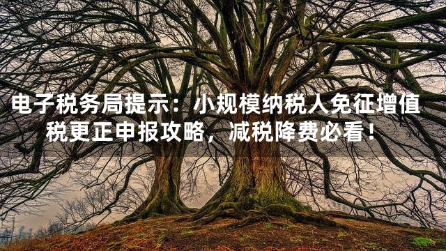 电子税务局提示：小规模纳税人免征增值税更正申报攻略，减税降费必看！