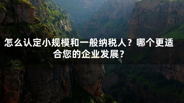 怎么认定小规模和一般纳税人？哪个更适合您的企业发展？