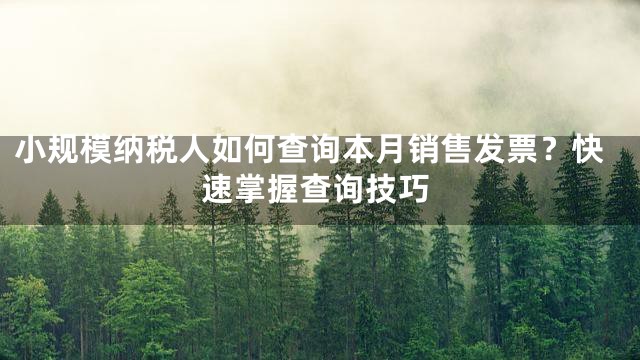 小规模纳税人如何查询本月销售发票？快速掌握查询技巧