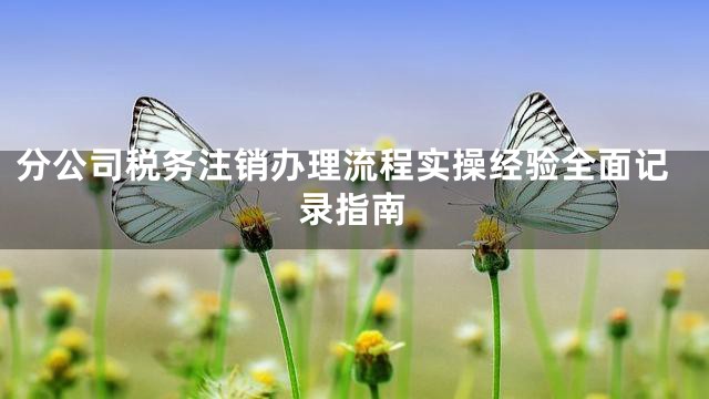 分公司税务注销办理流程实操经验全面记录指南