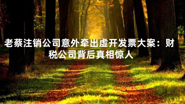 老蔡注销公司意外牵出虚开发票大案：财税公司背后真相惊人