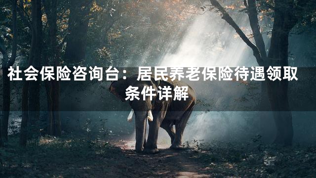 社会保险咨询台：居民养老保险待遇领取条件详解