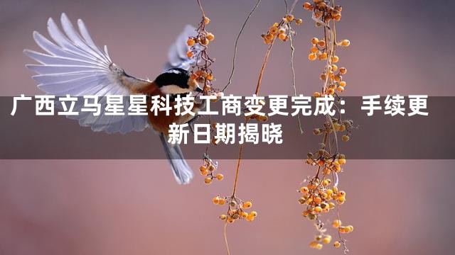 广西立马星星科技工商变更完成：手续更新日期揭晓