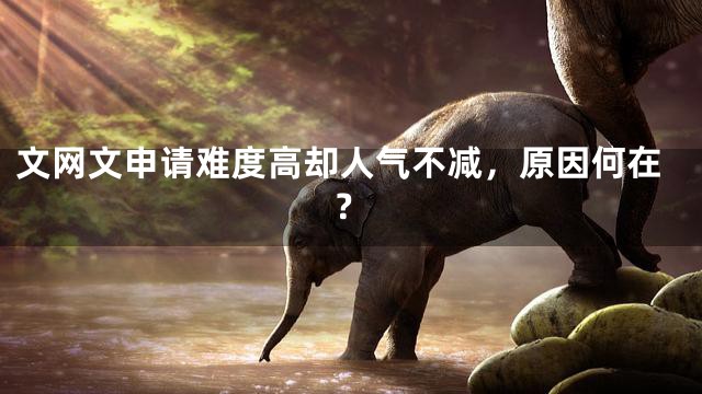 文网文申请难度高却人气不减，原因何在？