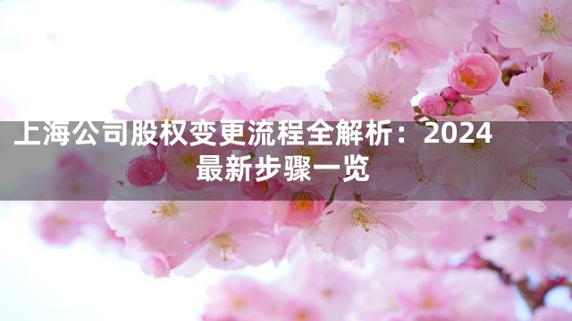 上海公司股权变更流程全解析：2024最新步骤一览