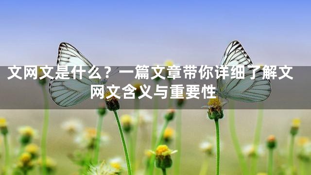 文网文是什么？一篇文章带你详细了解文网文含义与重要性
