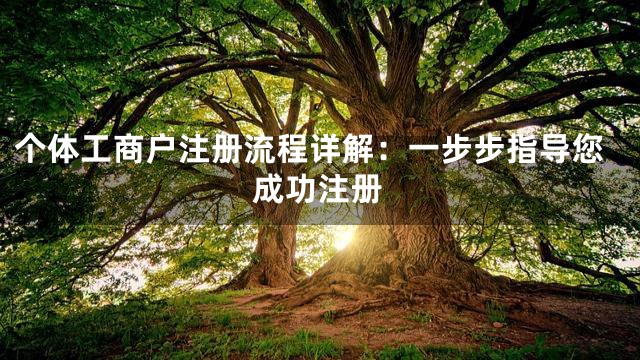 个体工商户注册流程详解：一步步指导您成功注册