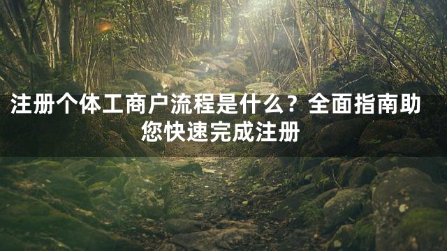 注册个体工商户流程是什么？全面指南助您快速完成注册
