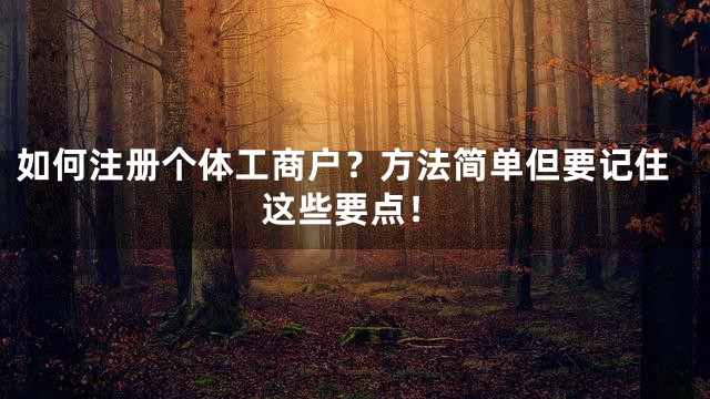 如何注册个体工商户？方法简单但要记住这些要点！