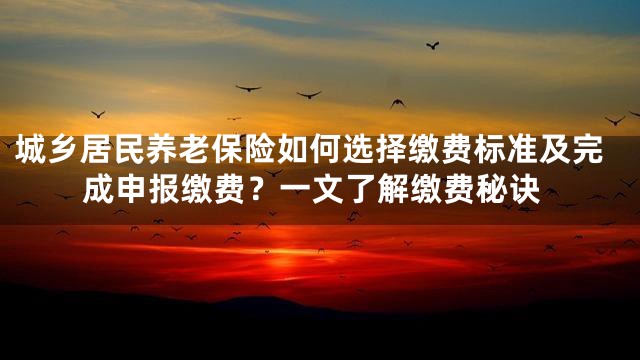 城乡居民养老保险如何选择缴费标准及完成申报缴费？一文了解缴费秘诀