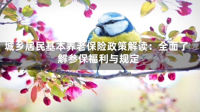 城乡居民基本养老保险政策解读：全面了解参保福利与规定