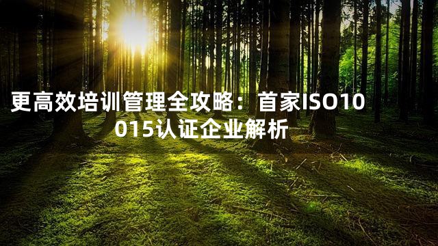 更高效培训管理全攻略：首家ISO10015认证企业解析