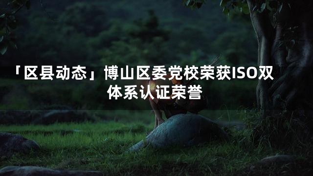 「区县动态」博山区委党校荣获ISO双体系认证荣誉