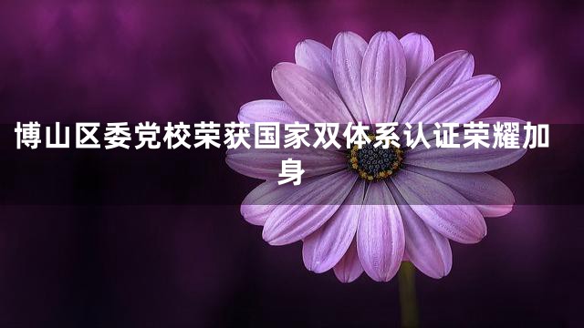 博山区委党校荣获国家双体系认证荣耀加身