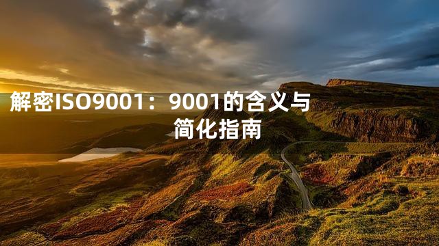 解密ISO9001：9001的含义与简化指南