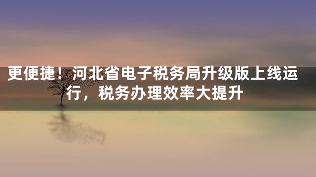更便捷！河北省电子税务局升级版上线运行，税务办理效率大提升