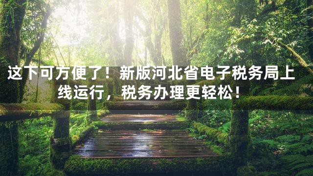这下可方便了！新版河北省电子税务局上线运行，税务办理更轻松！