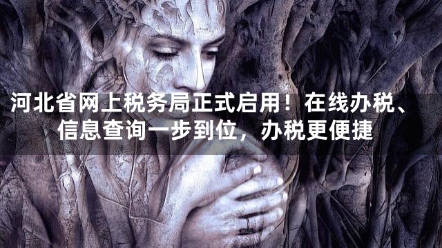 河北省网上税务局正式启用！在线办税、信息查询一步到位，办税更便捷