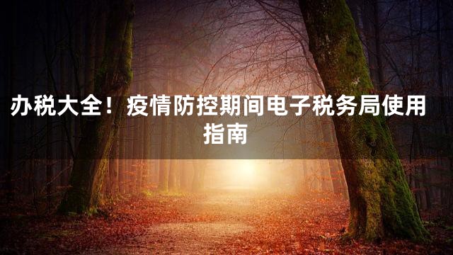 办税大全！疫情防控期间电子税务局使用指南
