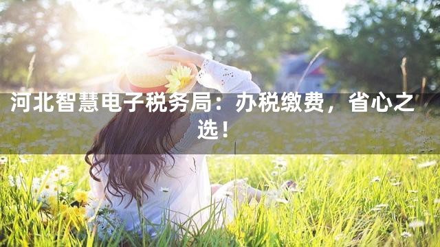 河北智慧电子税务局：办税缴费，省心之选！