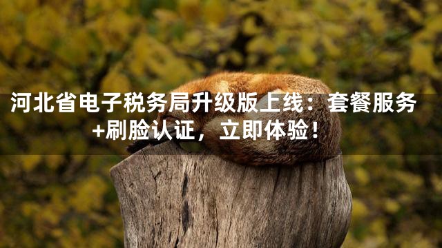河北省电子税务局升级版上线：套餐服务+刷脸认证，立即体验！