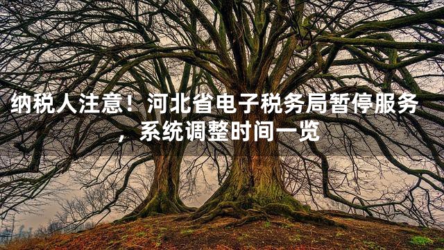 纳税人注意！河北省电子税务局暂停服务，系统调整时间一览