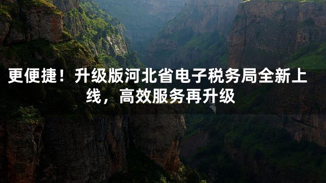 更便捷！升级版河北省电子税务局全新上线，高效服务再升级