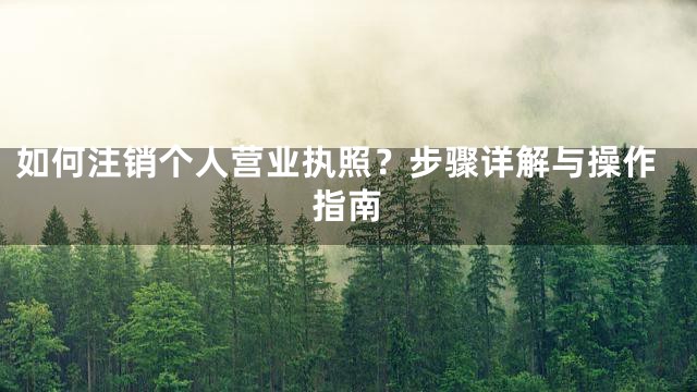 如何注销个人营业执照？步骤详解与操作指南