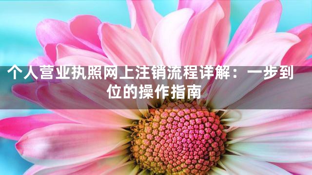 个人营业执照网上注销流程详解：一步到位的操作指南