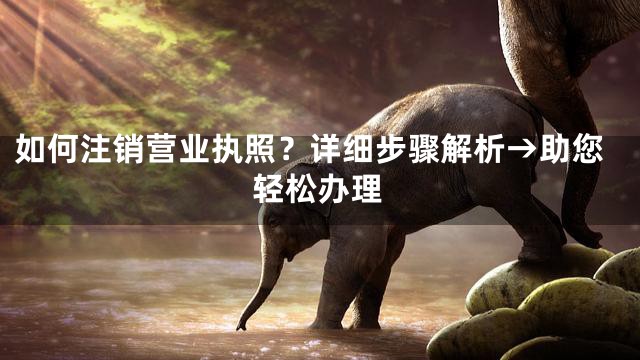 如何注销营业执照？详细步骤解析→助您轻松办理