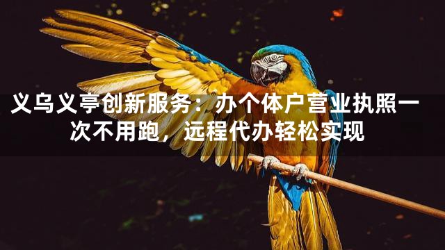 义乌义亭创新服务：办个体户营业执照一次不用跑，远程代办轻松实现