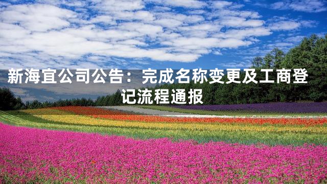 新海宜公司公告：完成名称变更及工商登记流程通报