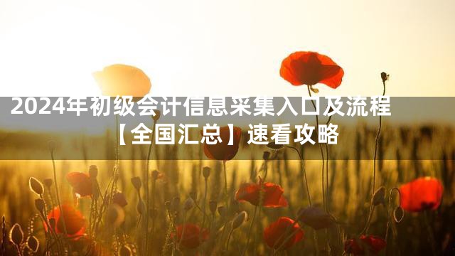 2024年初级会计信息采集入口及流程【全国汇总】速看攻略
